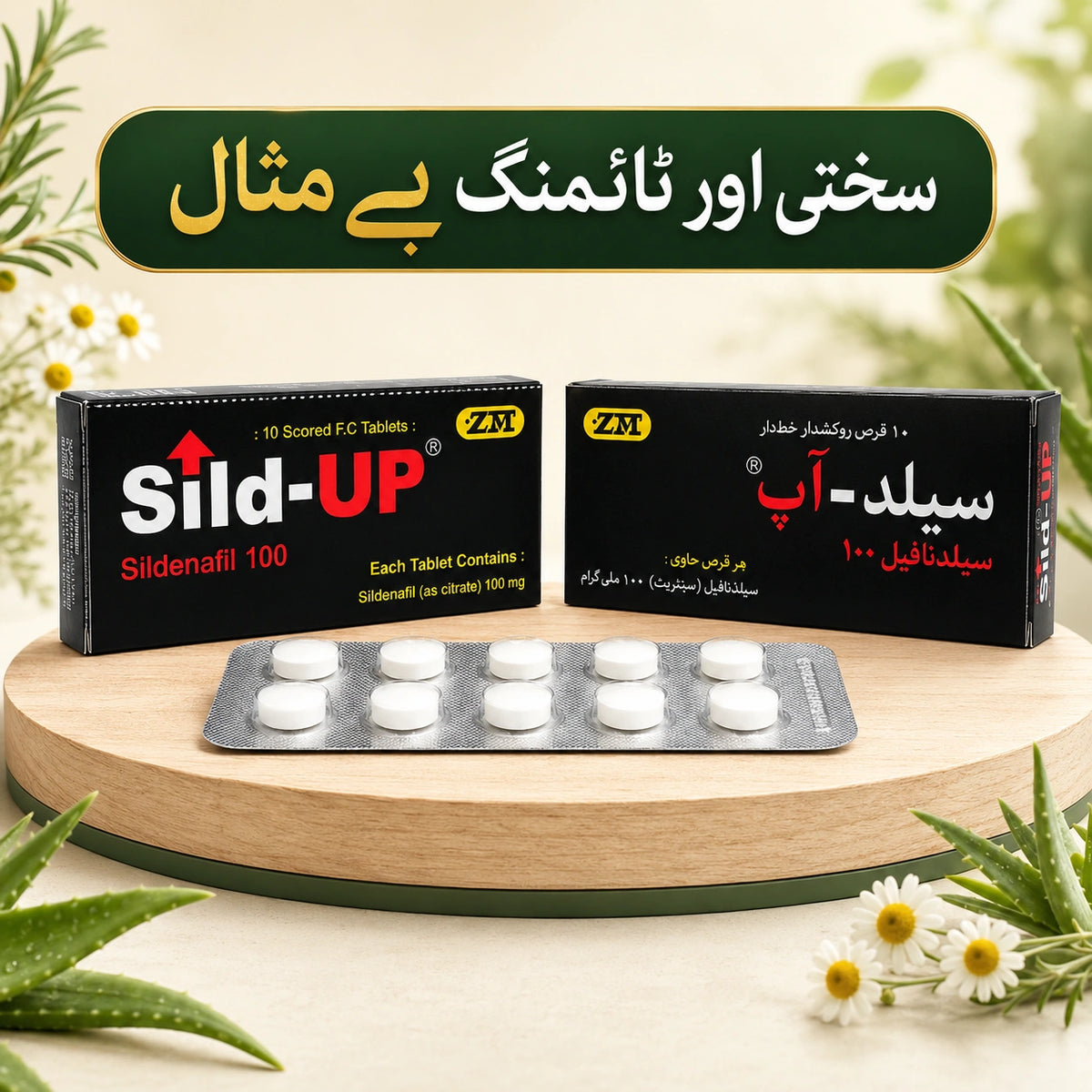 HC - Sl UP